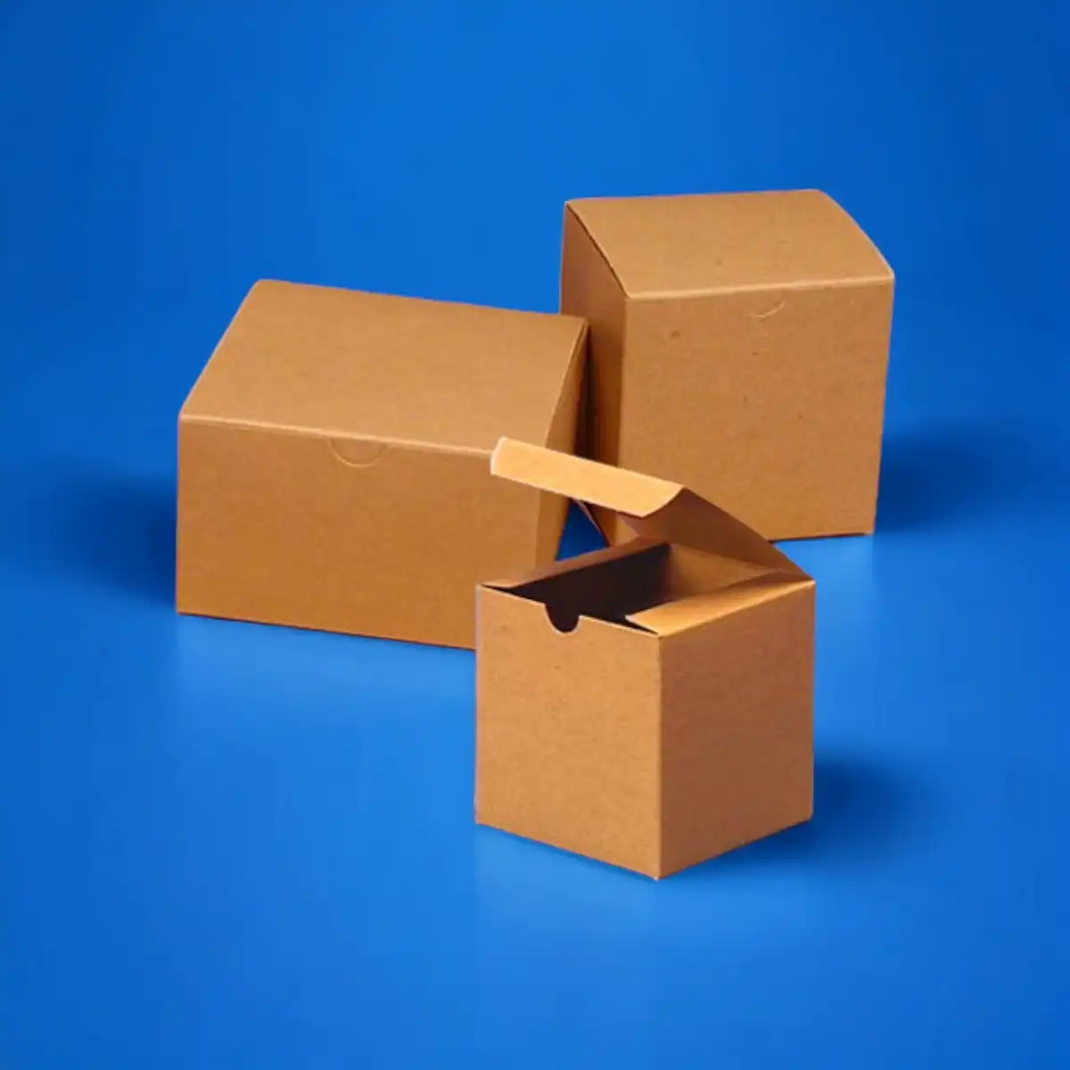 branded-custom-kraft-boxes
